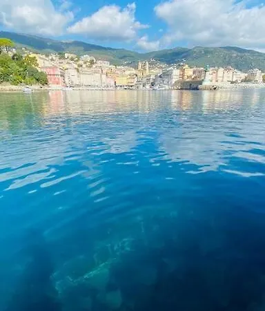 Entierement Renovee Avec Piscine En Plein Coeur De - Corse *