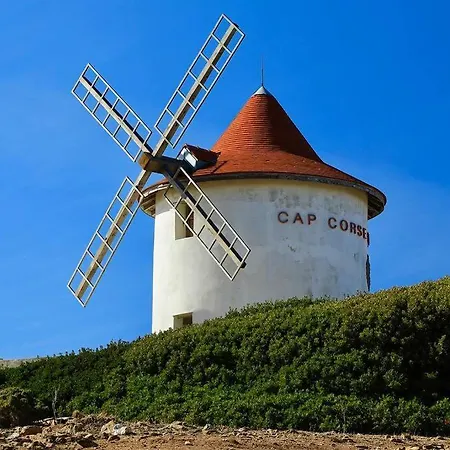 Entièrement Rénovée Avec Piscine En Plein Coeur De - Corse