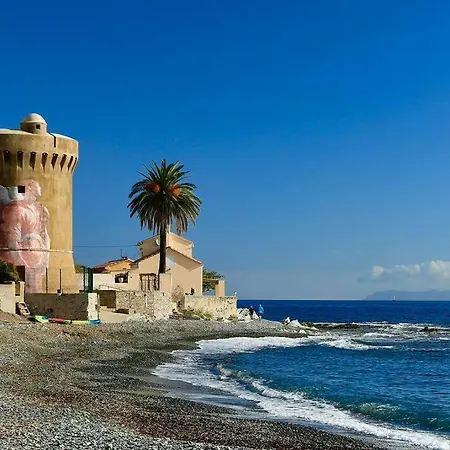 Villa Entièrement Rénovée Avec Piscine En Plein Coeur De - Corse Bastia (Corsica)