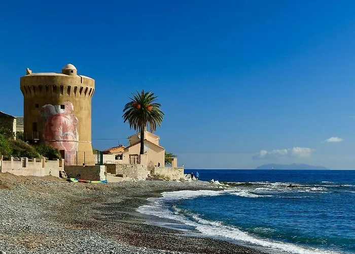 Villa Entierement Renovee Avec Piscine En Plein Coeur De - Corse Bastia (Corsica)
