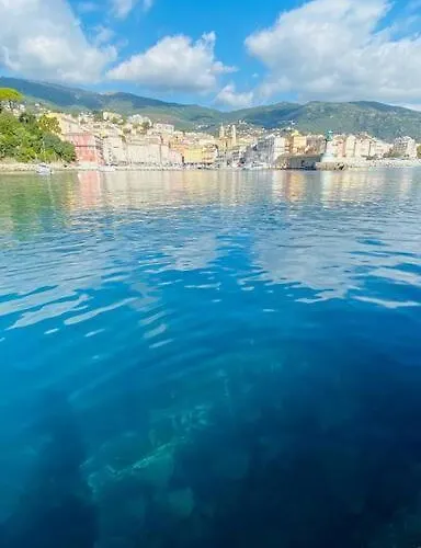 Entierement Renovee Avec Piscine En Plein Coeur De - Corse *